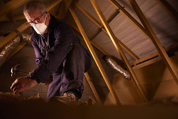 Best Insulation Installation Services in Raceland, KY
